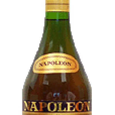 Napoleon spirit of france