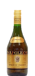 Napoleon spirit of france